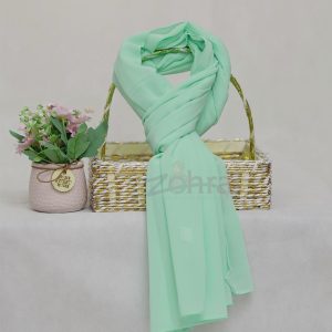 Georgette Chiffon - Shade Green